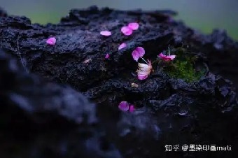 们把自己的野心封印起来逐渐沦为平庸的人这......《销售团队就该这样管》摘录
